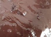 Cacao Health Benefits